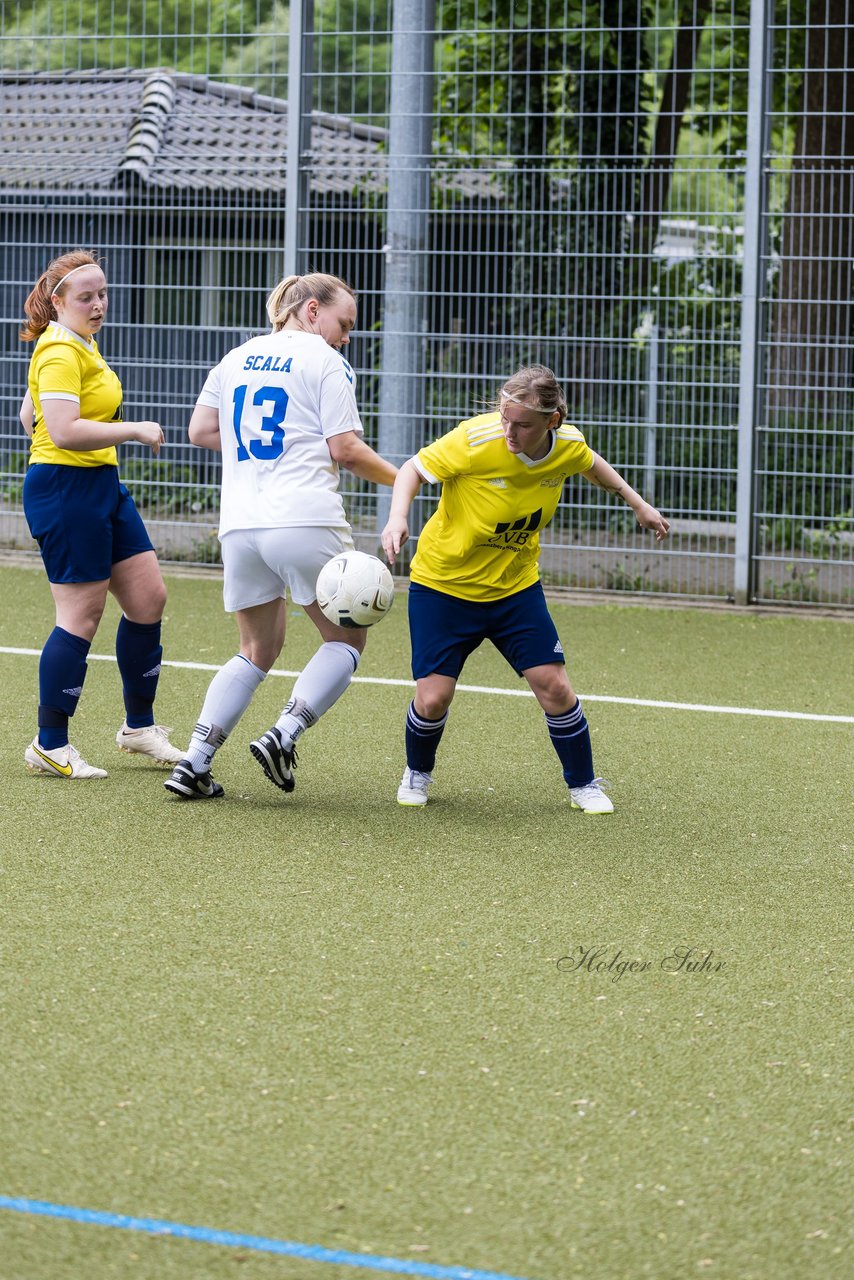 Bild 344 - F SV Eidelstedt - SC Alstertal-Langenhorn : Ergebnis: 2:7